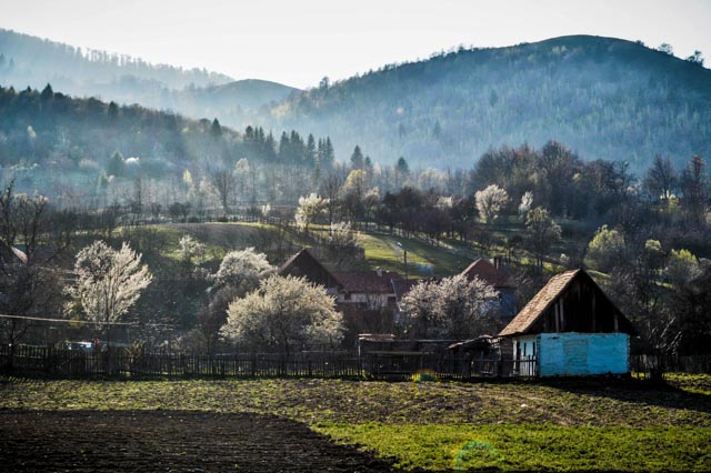 Village Life 3