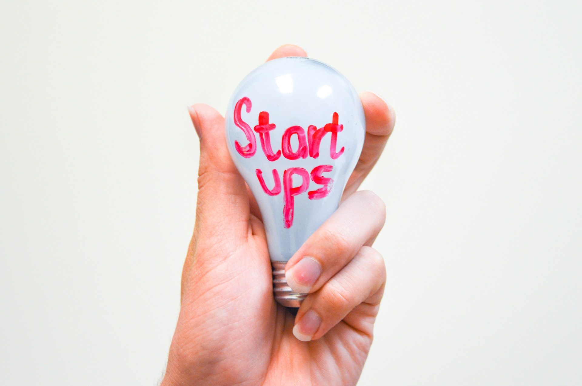 startups idei afaceri